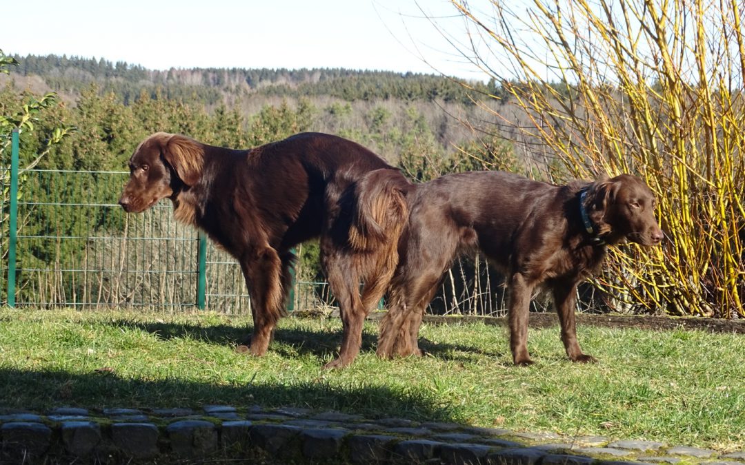 Zweites Date in der Eifel