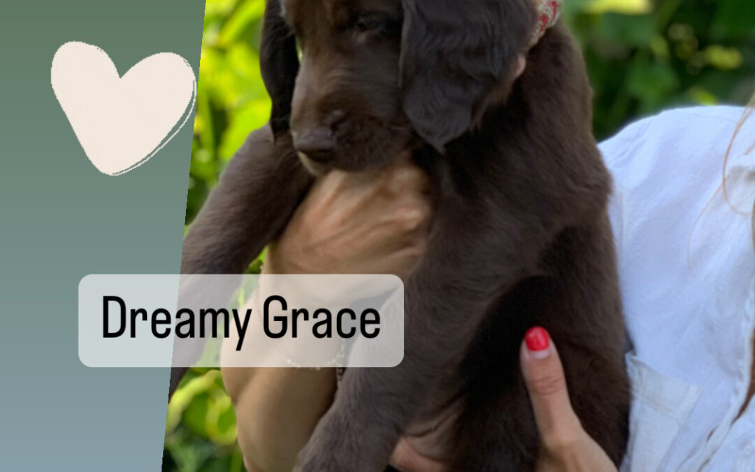 «Dreamy Grace» | Pink  ♀