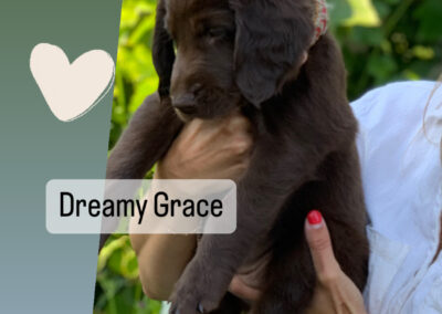 «Dreamy Grace» | Pink  ♀