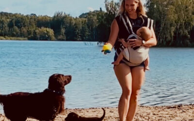 Sand unter den Pfoten