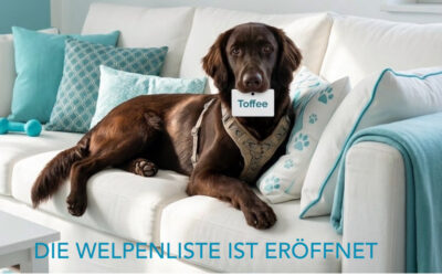 Die Welpenliste ist eröffnet!